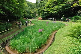 菖蒲田入り口